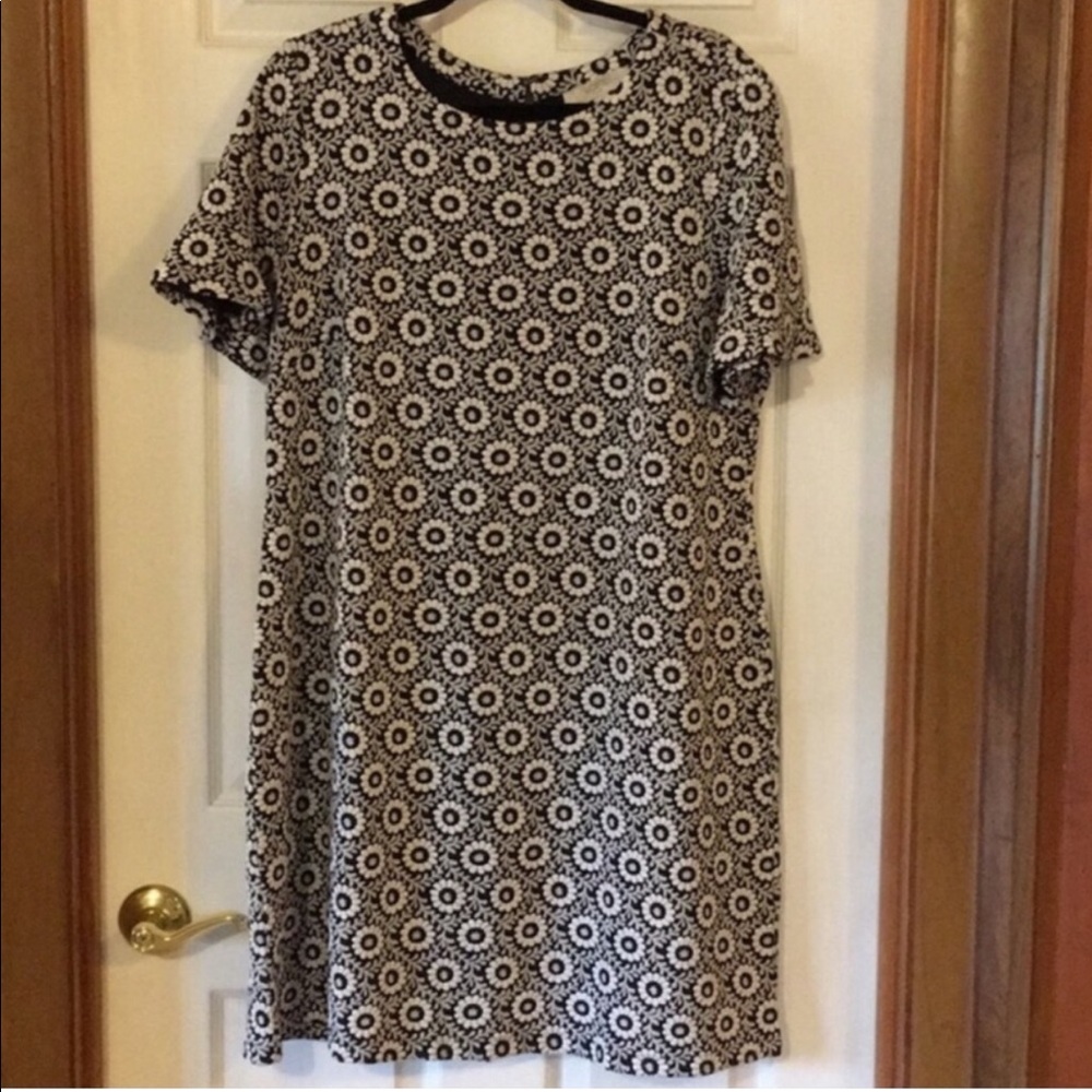 NWT Plus Size LOFT Dress